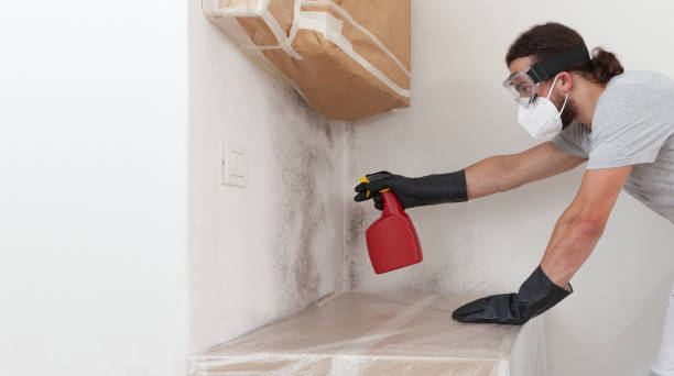 Professional Mold Cleanup technician working in Franklin, NJ