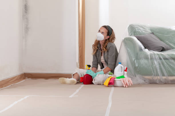 Reliable Mold Cleanup contractor in Franklin, NJ by Cheap Mold Removal